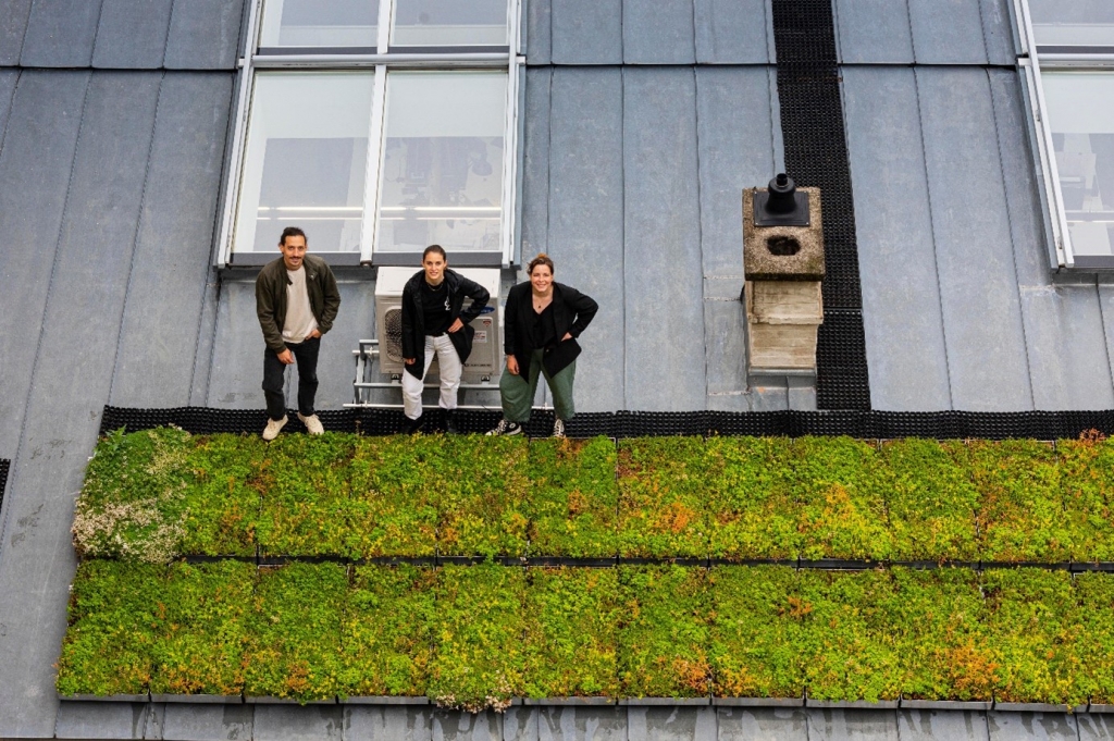 Generalunternehmung Obenauf und das Start-up Plantika starten ein Dachbegrünungs-Pilotprojekt in Wien (c) Obenauf