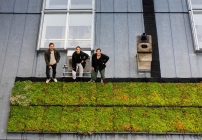 Generalunternehmung Obenauf und das Start-up Plantika starten ein Dachbegrünungs-Pilotprojekt in Wien (c) Obenauf